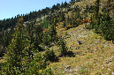 2009_0923_Mt_Hood_Hike0154