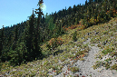 2009_0923_Mt_Hood_Hike0164