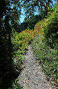 2009_0923_Mt_Hood_Hike0182