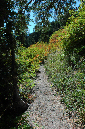 2009_0923_Mt_Hood_Hike0183