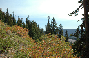 2009_0923_Mt_Hood_Hike0247