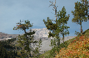 2009_0923_Mt_Hood_Hike0248