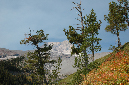 2009_0923_Mt_Hood_Hike0249