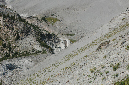 2009_0923_Mt_Hood_Hike0260