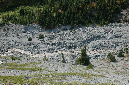 2009_0923_Mt_Hood_Hike0264