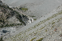 2009_0923_Mt_Hood_Hike0270
