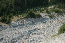 2009_0923_Mt_Hood_Hike0274