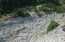 2009_0923_Mt_Hood_Hike0275