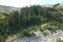 2009_0923_Mt_Hood_Hike0283