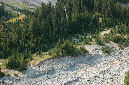 2009_0923_Mt_Hood_Hike0284