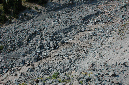 2009_0923_Mt_Hood_Hike0286