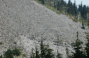 2009_0923_Mt_Hood_Hike0325
