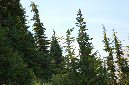 2009_0923_Mt_Hood_Hike0334