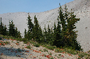 2009_0923_Mt_Hood_Hike0337