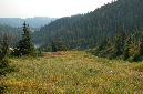2009_0923_Mt_Hood_Hike0339