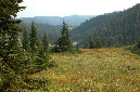2009_0923_Mt_Hood_Hike0344
