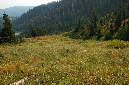 2009_0923_Mt_Hood_Hike0345