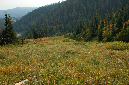 2009_0923_Mt_Hood_Hike0346