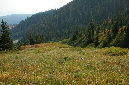 2009_0923_Mt_Hood_Hike0347