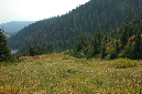 2009_0923_Mt_Hood_Hike0348