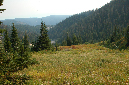 2009_0923_Mt_Hood_Hike0353