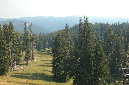 2009_0923_Mt_Hood_Hike0367