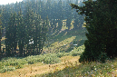 2009_0923_Mt_Hood_Hike0372