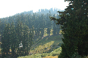 2009_0923_Mt_Hood_Hike0373