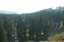 2009_0923_Mt_Hood_Hike0374