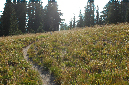 2009_0923_Mt_Hood_Hike0388