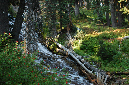2009_0923_Mt_Hood_Hike0412