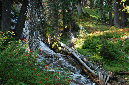 2009_0923_Mt_Hood_Hike0413