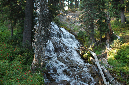 2009_0923_Mt_Hood_Hike0414