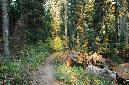 2009_0923_Mt_Hood_Hike0419