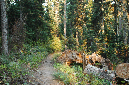 2009_0923_Mt_Hood_Hike0420