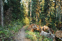 2009_0923_Mt_Hood_Hike0421