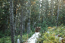 2009_0923_Mt_Hood_Hike0422