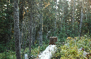 2009_0923_Mt_Hood_Hike0423