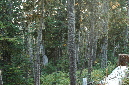 2009_0923_Mt_Hood_Hike0424