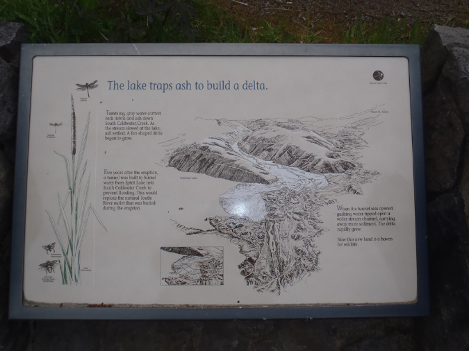 2011Jun06_Mt_St_Helens__001