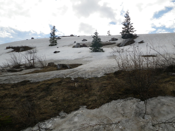 2011Jun06_Mt_St_Helens__032