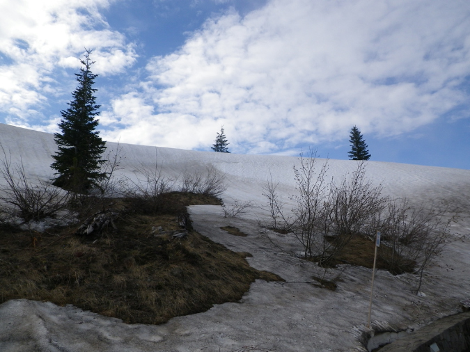 2011Jun06_Mt_St_Helens__033