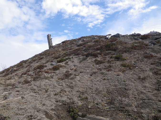 2011Jun06_Mt_St_Helens__047