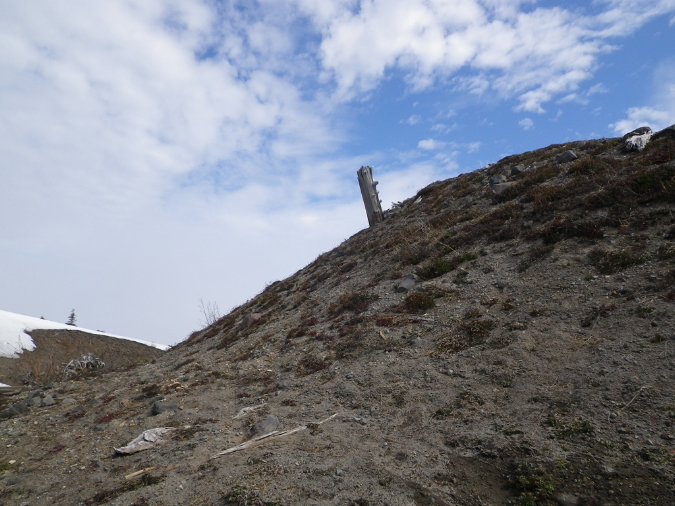 2011Jun06_Mt_St_Helens__048