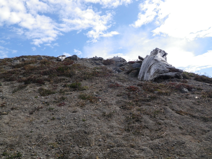 2011Jun06_Mt_St_Helens__049