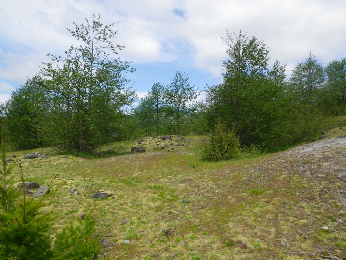 2011Jun06_Mt_St_Helens__117