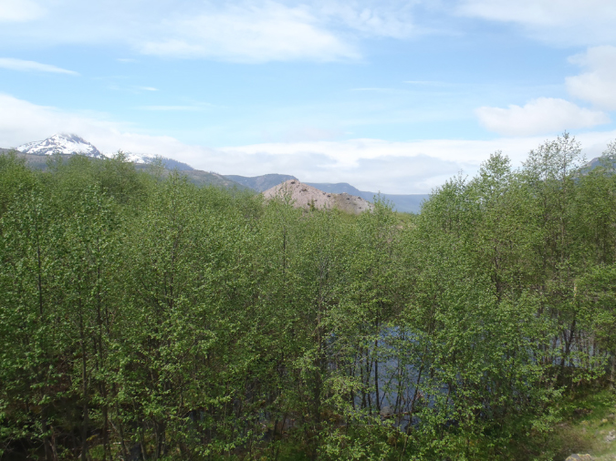 2011Jun06_Mt_St_Helens__120