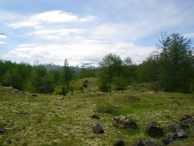 2011Jun06_Mt_St_Helens__121