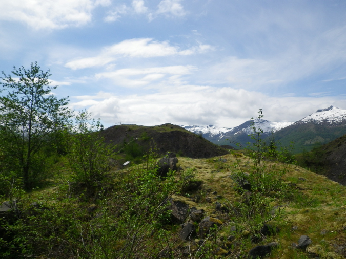 2011Jun06_Mt_St_Helens__129