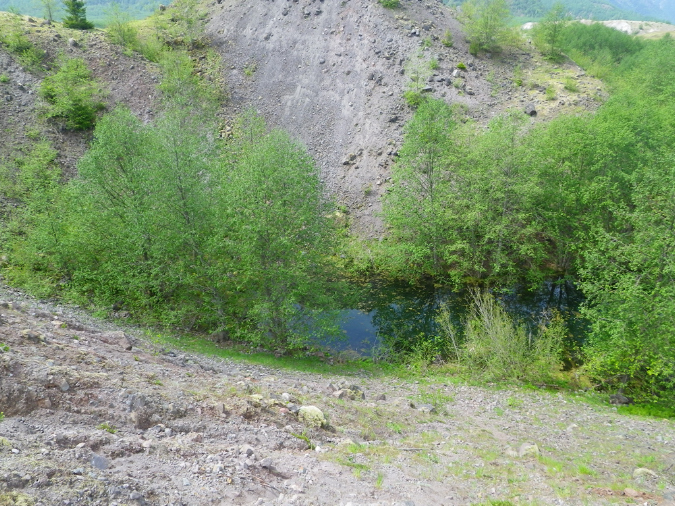 2011Jun06_Mt_St_Helens__131